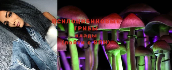 спиды Балабаново