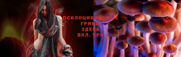 спиды Балабаново