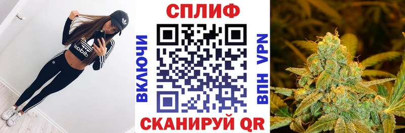 Марихуана индика  Светогорск 